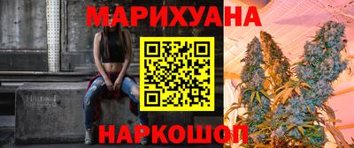 СК Новозыбков