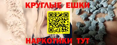 СК Новозыбков