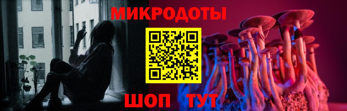 Галлюциногенные грибы Psilocybe Сургут